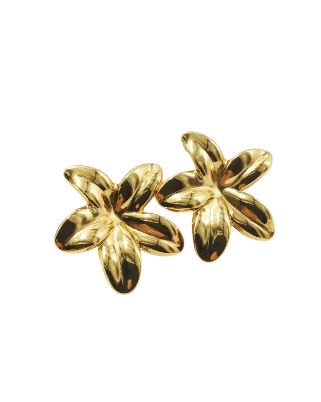 By the Coast Earrings